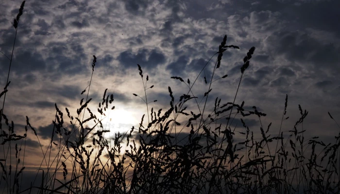 Bremen Standorte image 1