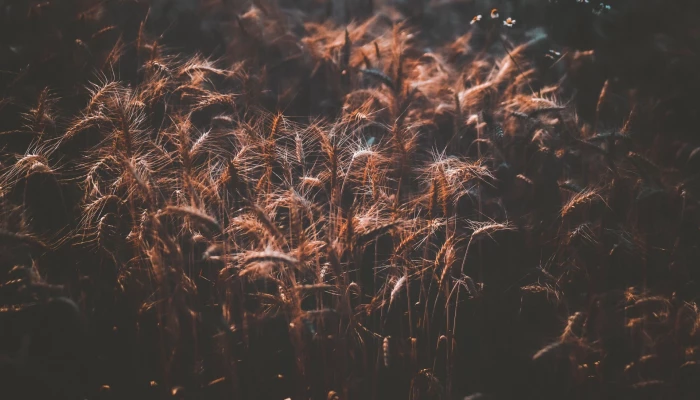 Another test location image 1